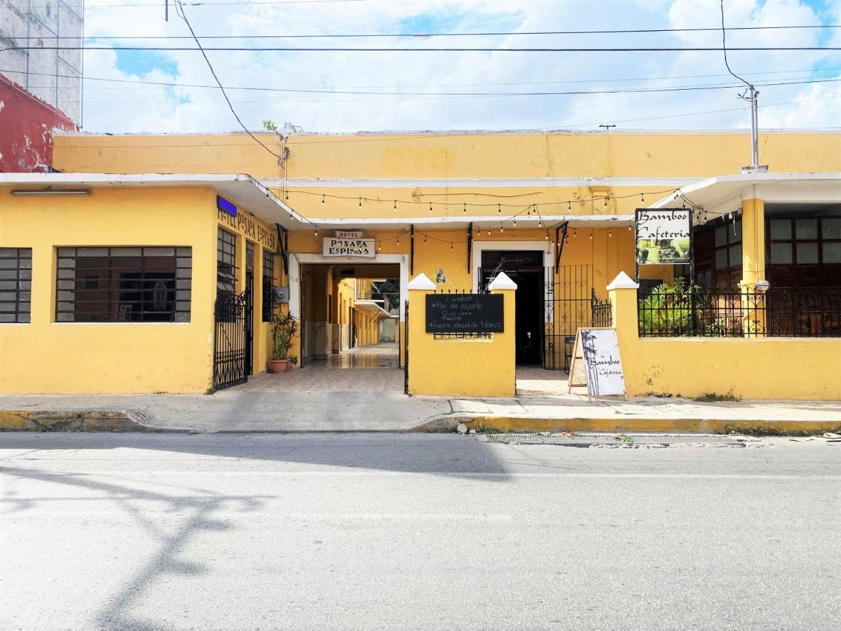 Oyo Posada Espinosa, Merida, Parque De Santa Ana Εξωτερικό φωτογραφία